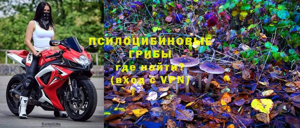 прущая мука Вяземский