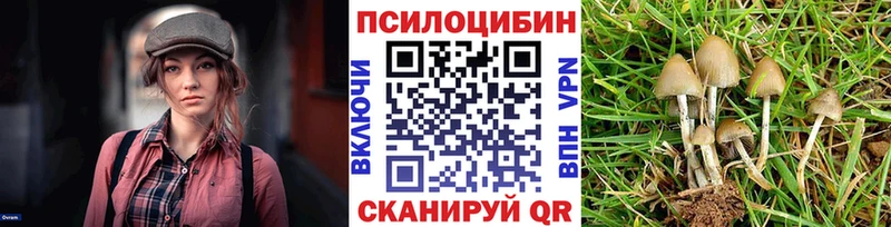 Псилоцибиновые грибы мухоморы  Дзержинский 
